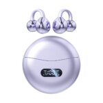 ANL03 Earbud 1